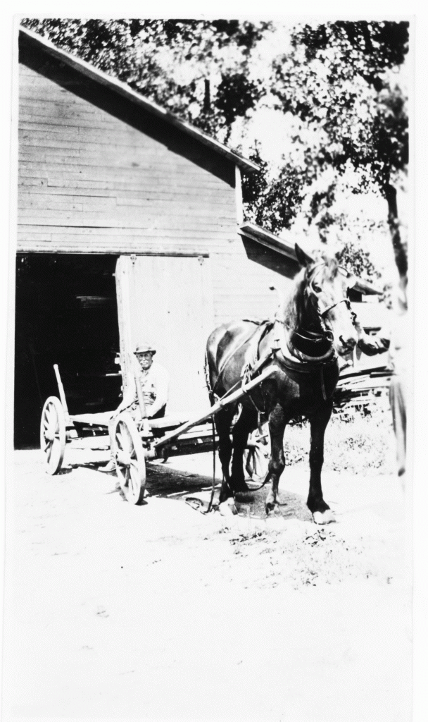 George Elston (early settler) on buckboard with horse
